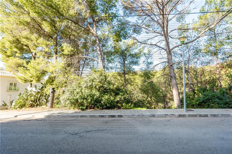 Plot of 1.525 m2 in Portals Nous,