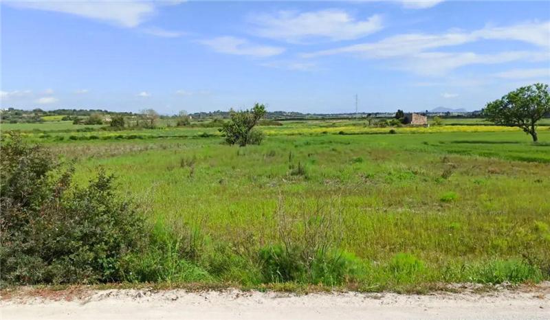Landwirtschaftliches Grundstück in Santa Margalida