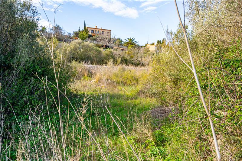Urban building plot in area Galilea,
