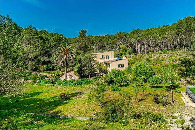 Finca rústica en entorno natural protegido en parcela de 124.000m2 aprox.,