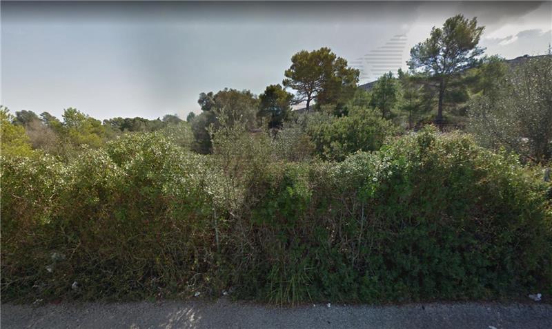Rustic plot in Calas de Mallorca,